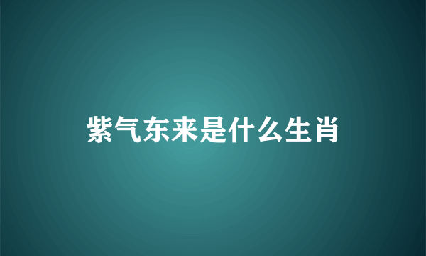 紫气东来是什么生肖