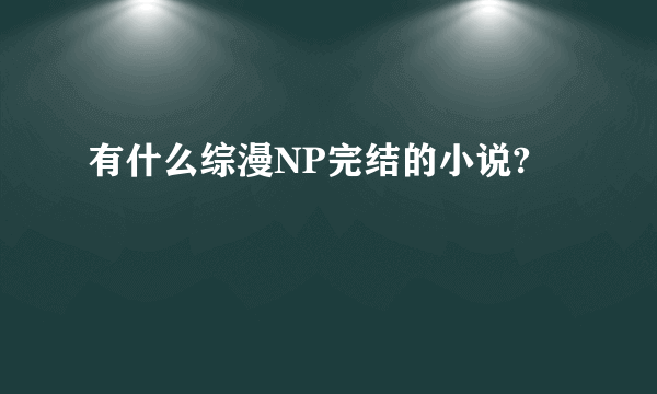 有什么综漫NP完结的小说?