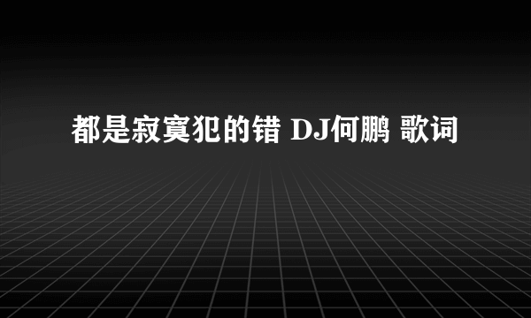 都是寂寞犯的错 DJ何鹏 歌词