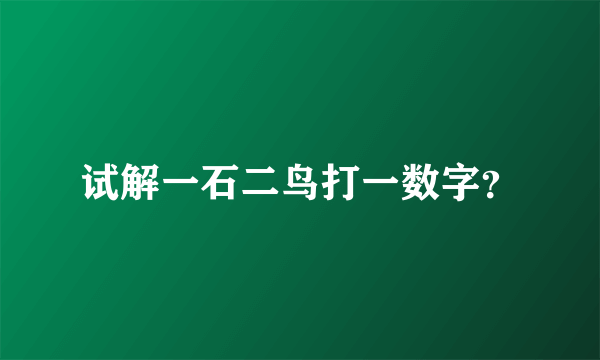 试解一石二鸟打一数字？