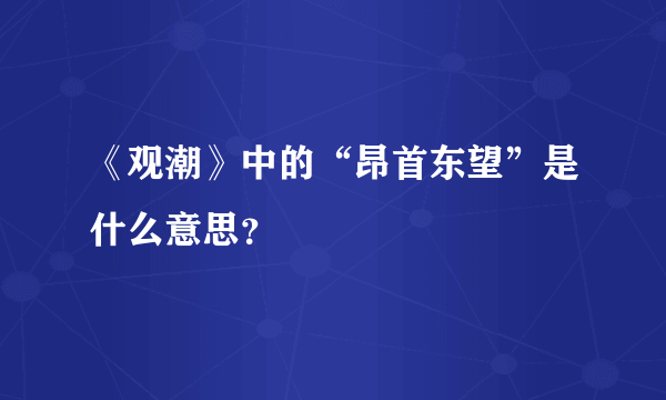 《观潮》中的“昂首东望”是什么意思？