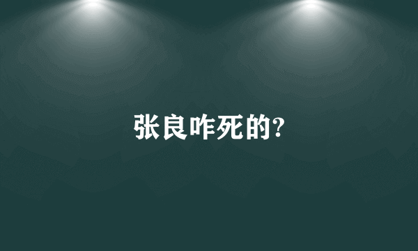 张良咋死的?