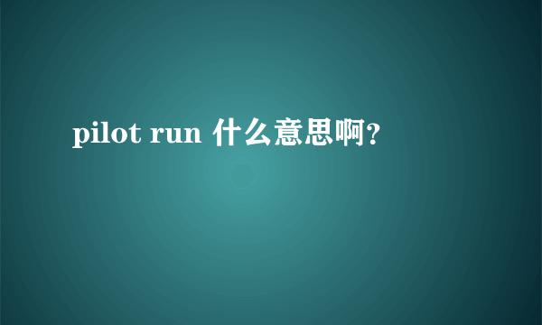 pilot run 什么意思啊？