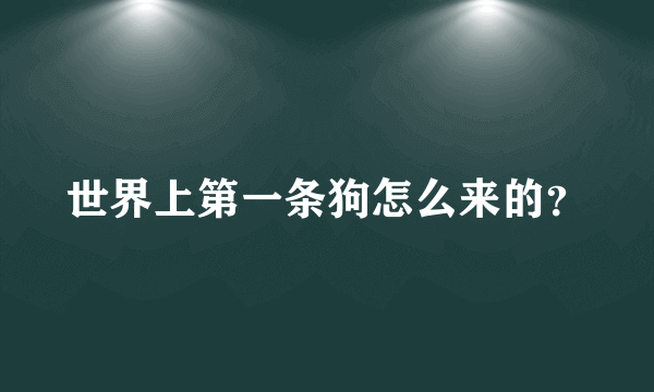 世界上第一条狗怎么来的？