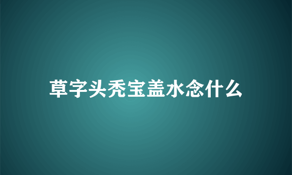 草字头秃宝盖水念什么