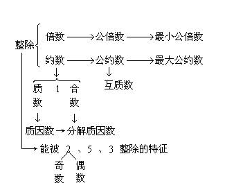 互质数是什么