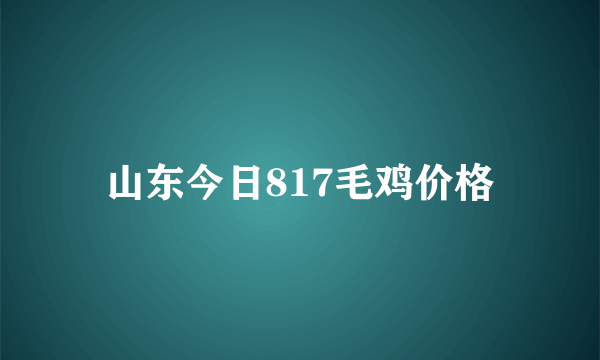 山东今日817毛鸡价格