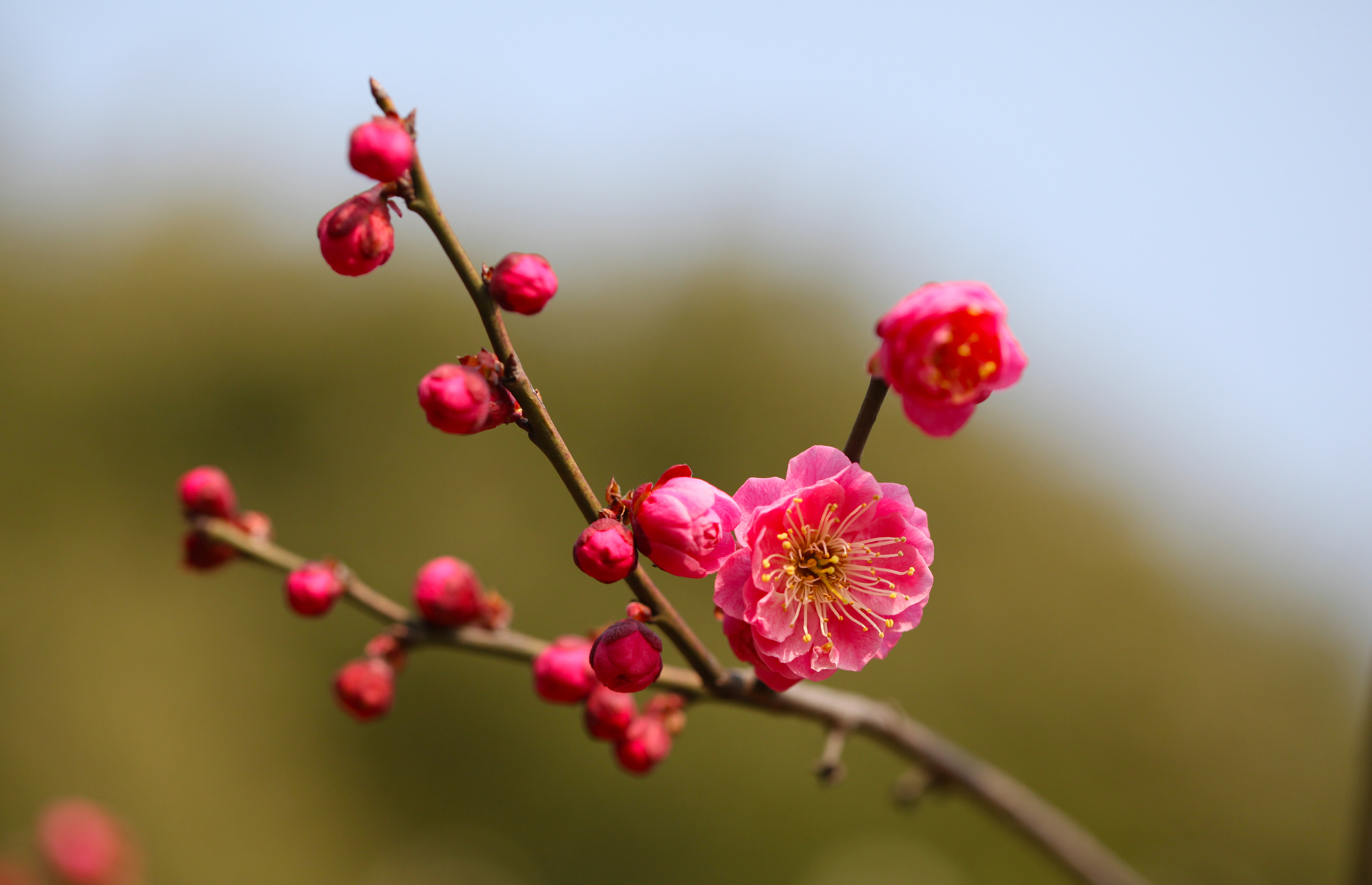 花生会让我们想到那些默默无闻做贡献的人，看到下面的事物，你会想到哪些人选择其中一个？试着写一段话。