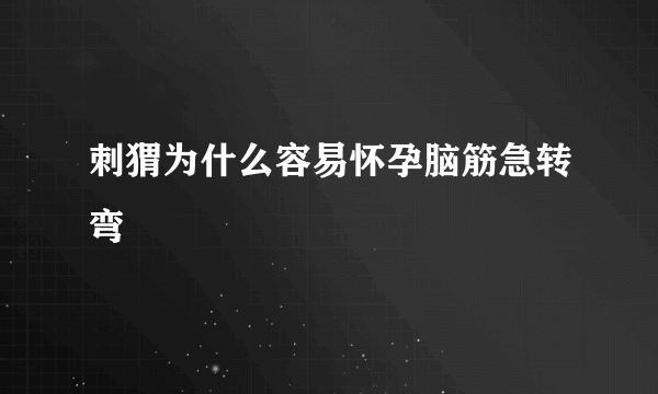 刺猬为什么容易怀孕脑筋急转弯