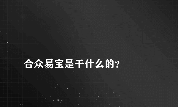 
合众易宝是干什么的？

