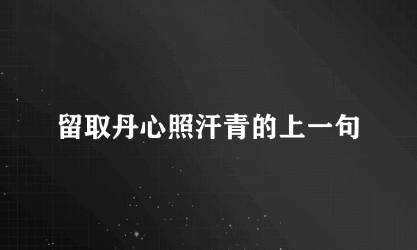 留取丹心照汗青的上一句