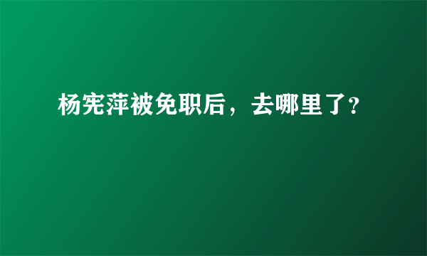 杨宪萍被免职后，去哪里了？