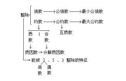 odd number 和 prime number数学上的区别