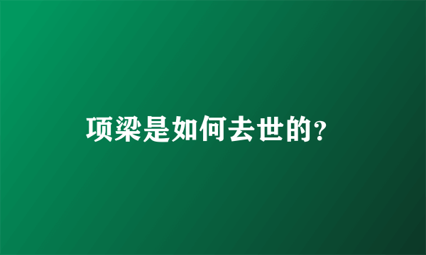 项梁是如何去世的？