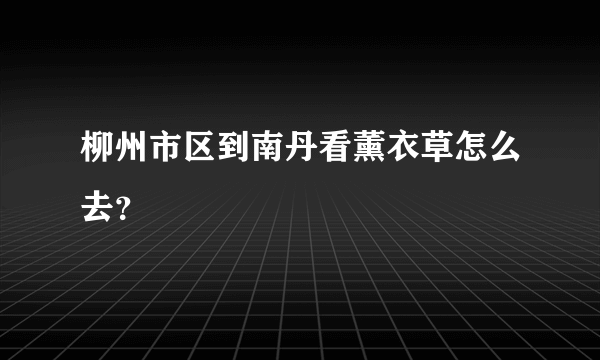 柳州市区到南丹看薰衣草怎么去？