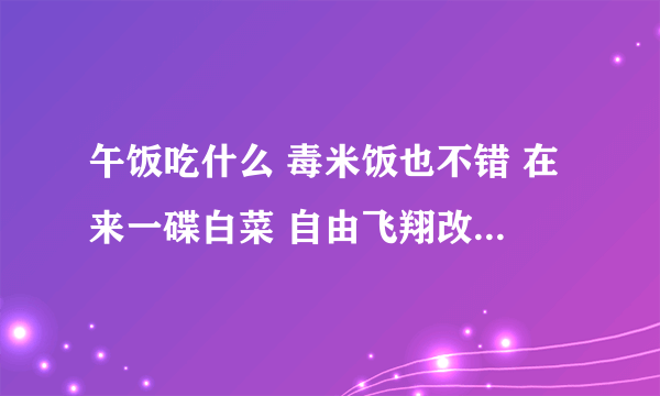 午饭吃什么 毒米饭也不错 在来一碟白菜 自由飞翔改的 求这首歌的歌名