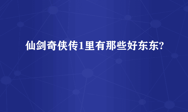 仙剑奇侠传1里有那些好东东?