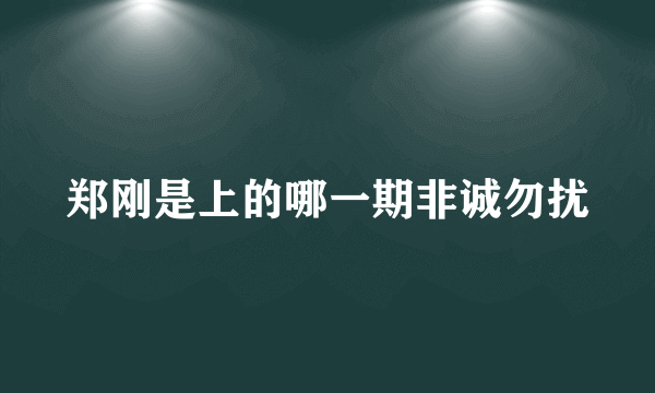 郑刚是上的哪一期非诚勿扰