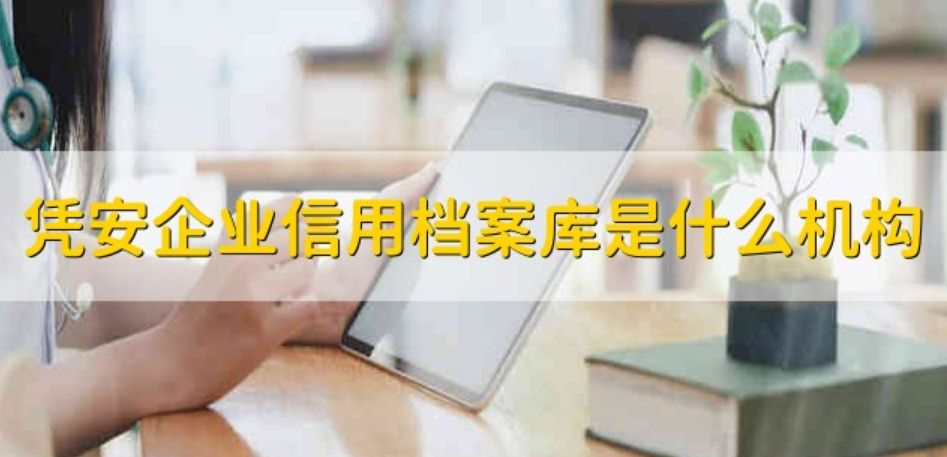 凭安企业档案库是干什么的?