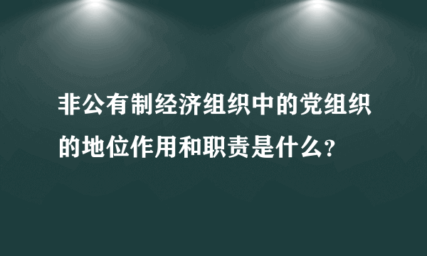 非公有制经济组织中的党组织的地位作用和职责是什么？