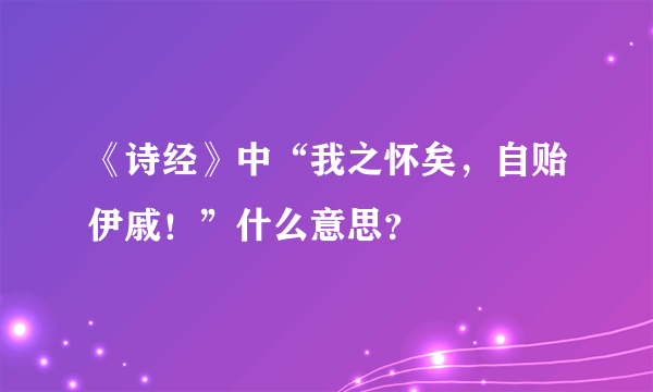 《诗经》中“我之怀矣，自贻伊戚！”什么意思？