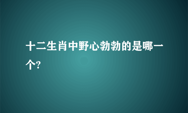 十二生肖中野心勃勃的是哪一个?