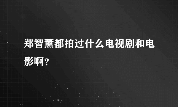 郑智薰都拍过什么电视剧和电影啊？