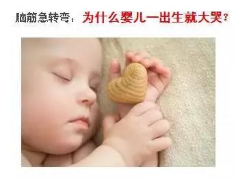 豆腐为什么能打伤人？