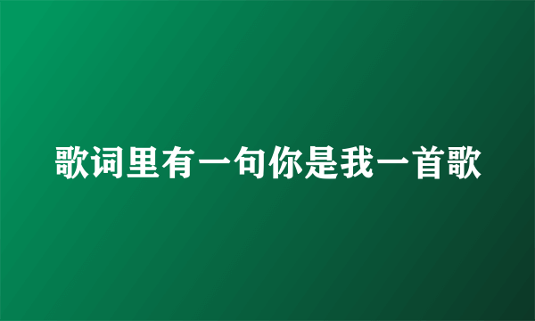 歌词里有一句你是我一首歌