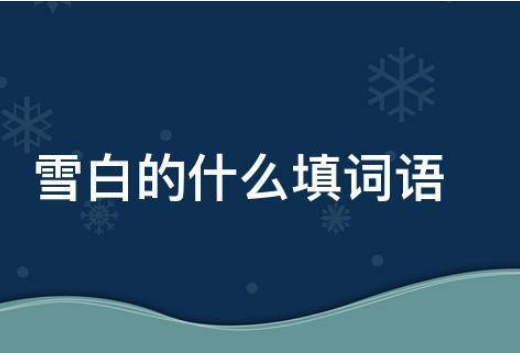 雪白的什么，如何填空?