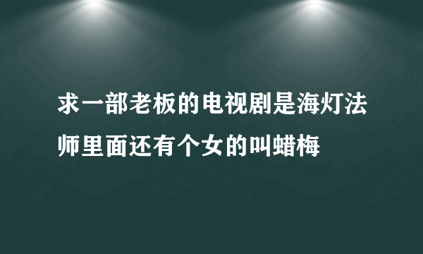 求一部老板的电视剧是海灯法师里面还有个女的叫蜡梅