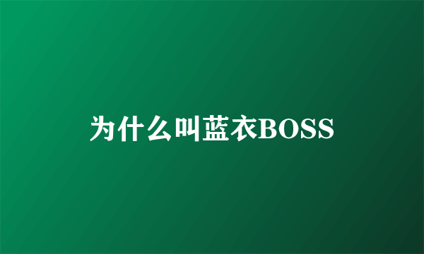 为什么叫蓝衣BOSS