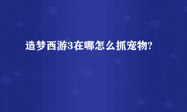 造梦西游3在哪怎么抓宠物?