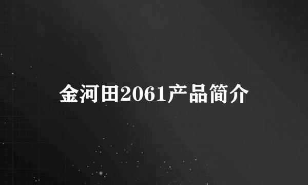 金河田2061产品简介