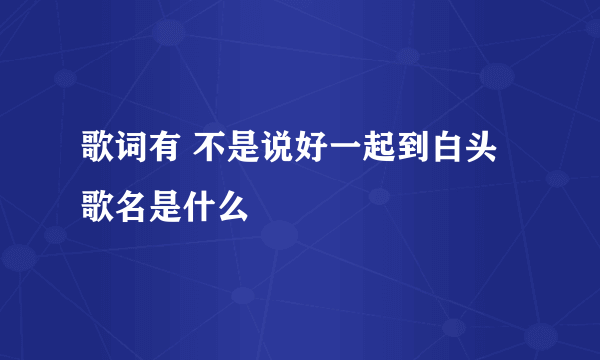 歌词有 不是说好一起到白头 歌名是什么