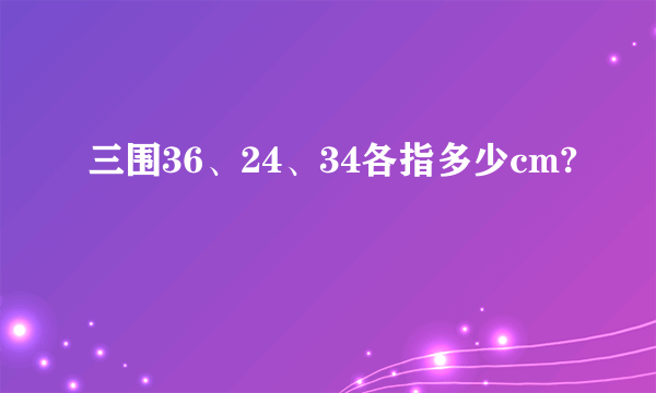 三围36、24、34各指多少cm?