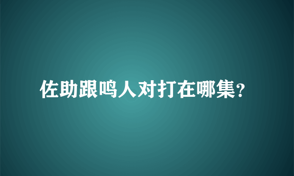 佐助跟鸣人对打在哪集？