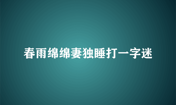 春雨绵绵妻独睡打一字迷