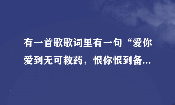 有一首歌歌词里有一句“爱你爱到无可救药，恨你恨到备受煎熬”叫什么?