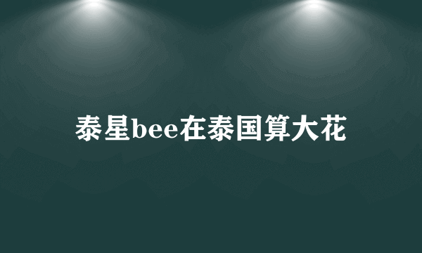 泰星bee在泰国算大花