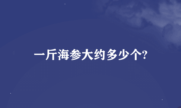 一斤海参大约多少个?