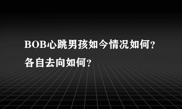 BOB心跳男孩如今情况如何？各自去向如何？