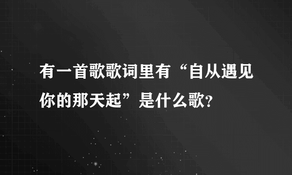 有一首歌歌词里有“自从遇见你的那天起”是什么歌？