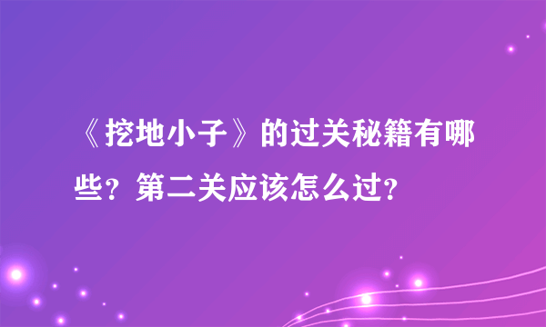 《挖地小子》的过关秘籍有哪些？第二关应该怎么过？