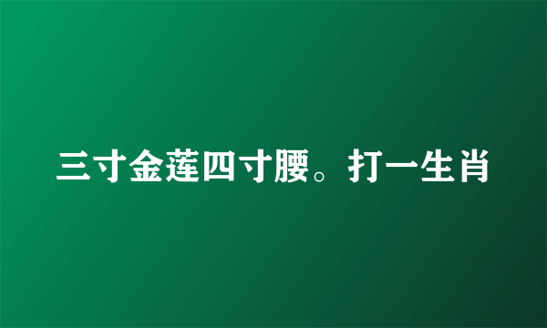 三寸金莲四寸腰。打一生肖