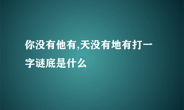 你没有他有,天没有地有打一字谜底是什么