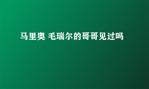 马里奥 毛瑞尔的哥哥见过吗