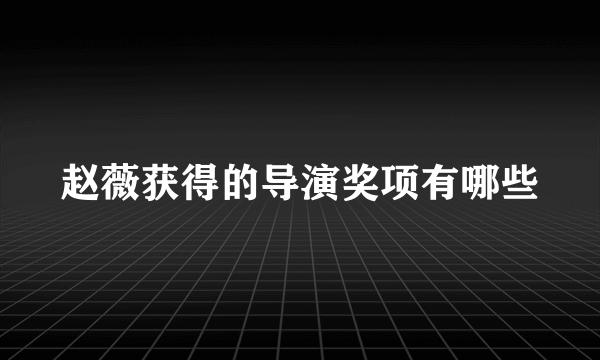 赵薇获得的导演奖项有哪些