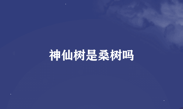 神仙树是桑树吗