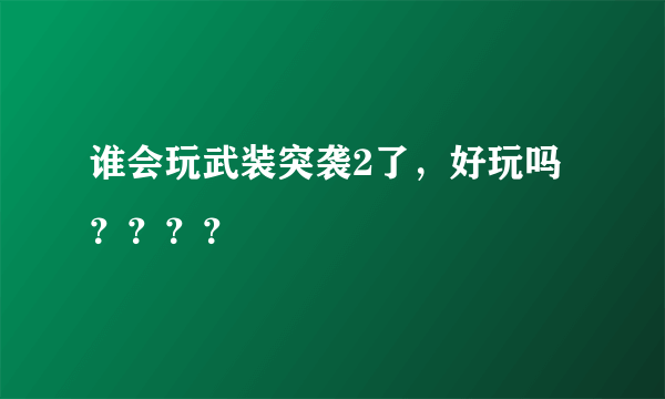 谁会玩武装突袭2了，好玩吗？？？？